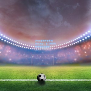 2025夏季转会市场风云再起，豪门博弈与新星崛起全解析