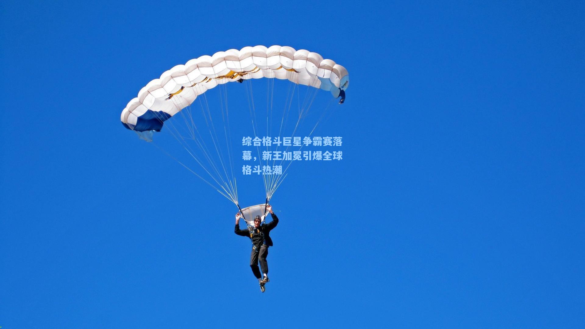 综合格斗巨星争霸赛落幕，新王加冕引爆全球格斗热潮