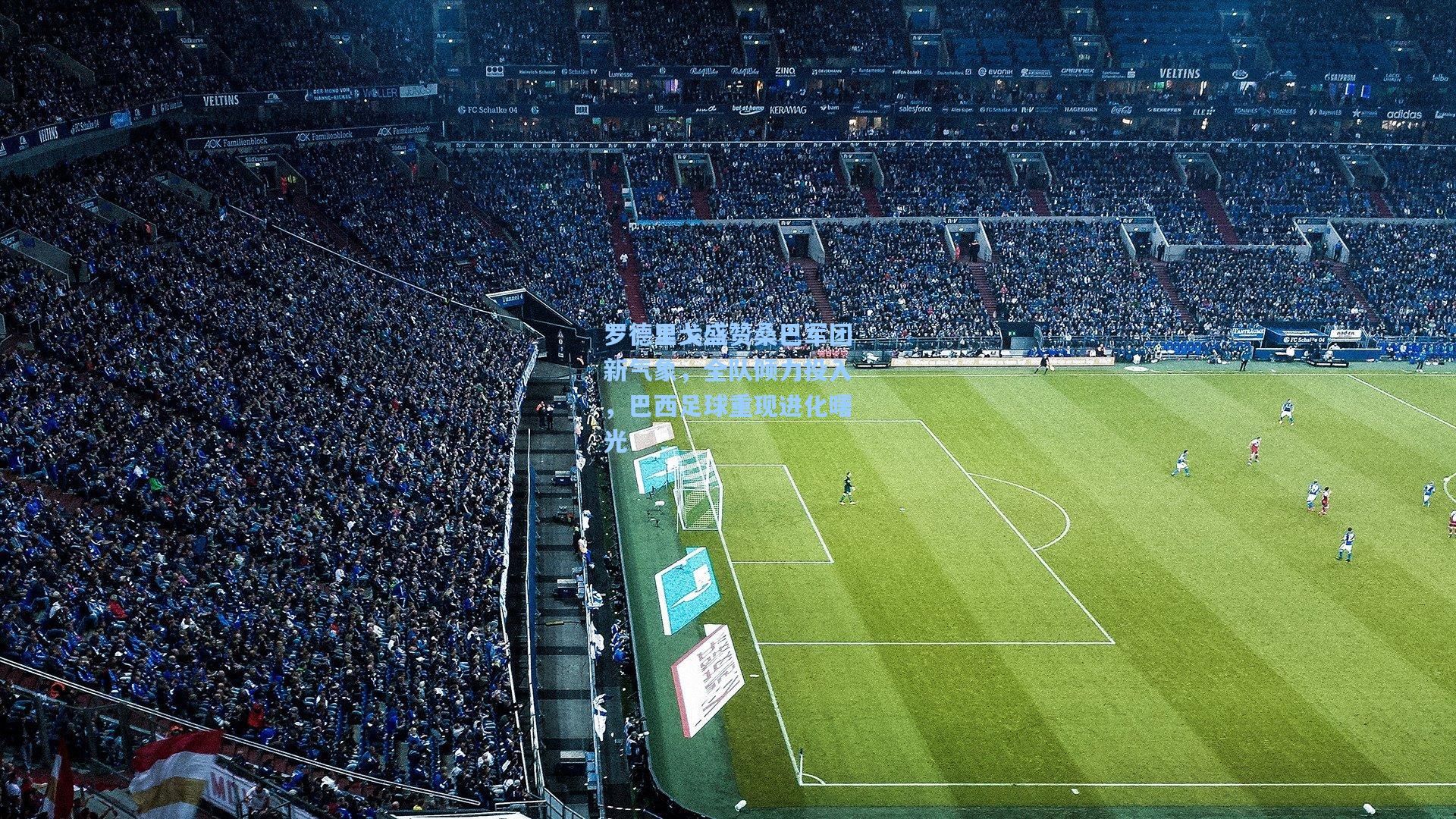 罗德里戈盛赞桑巴军团新气象，全队倾力投入，巴西足球重现进化曙光